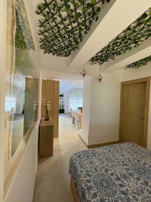 Apartamento Mediterraneo A 20M De La Playa Denia Exteriör bild